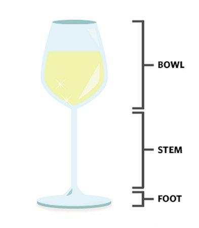 葡萄酒酒杯